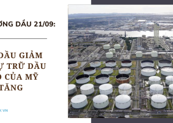 Giá dầu ngày 21/08 giảm do dự trữ dầu thô của Mỹ tăng
