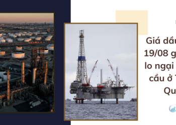 Giá dầu ngày 19/08 giảm do lo ngại về nhu cầu ở Trung Quốc