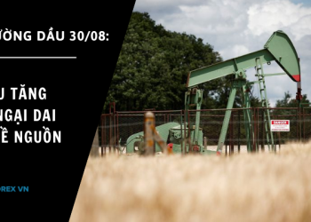 Gia dau tang do lo ngai dai dang ve nguon cung