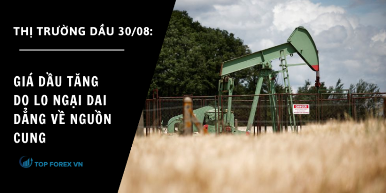 Gia dau tang do lo ngai dai dang ve nguon cung