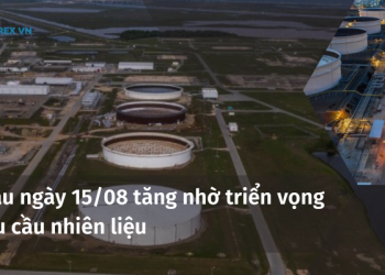 Giá dầu ngày 15/08 tăng nhờ triển vọng về nhu cầu nhiên liệu