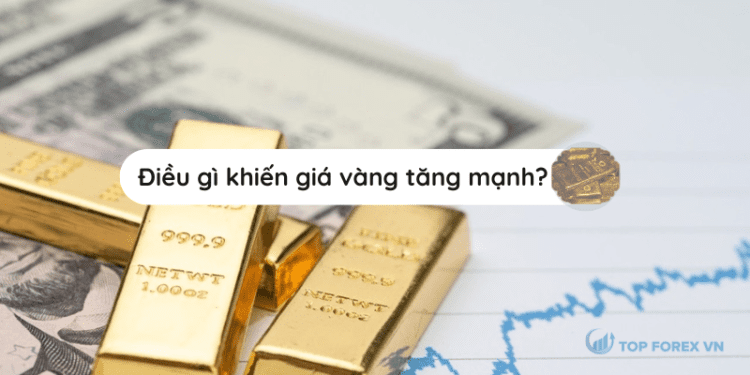 Điều gì khiến giá vàng tăng mạnh trong năm nay?