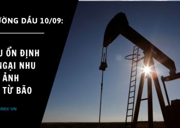 Giá dầu ổn định do lo ngại nhu cầu và ảnh hưởng từ bão