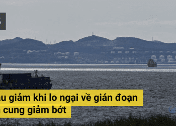 Gia dau giam khi lo ngai nguon cung giam