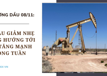 Giá dầu giảm nhẹ nhưng hướng tới mức tăng mạnh trong tuần
