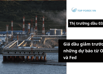 Giá dầu giảm trước những dự báo từ OPEC+ và Fed