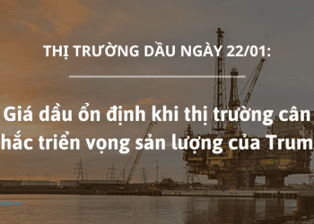 Gia dau on dinh khi thi truong can nhac trien vong san luong