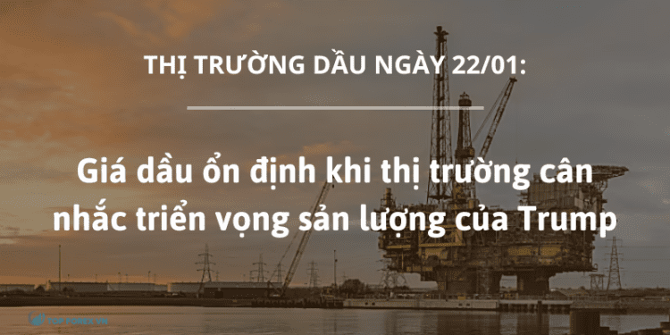 Gia dau on dinh khi thi truong can nhac trien vong san luong