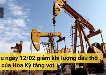 Giá dầu giảm khi lượng dầu thô dự trữ của Hoa Kỳ tăng vọt