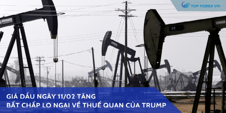 Giá dầu ngày 11/02 tăng bất chấp lo ngại về thuế quan của Trump