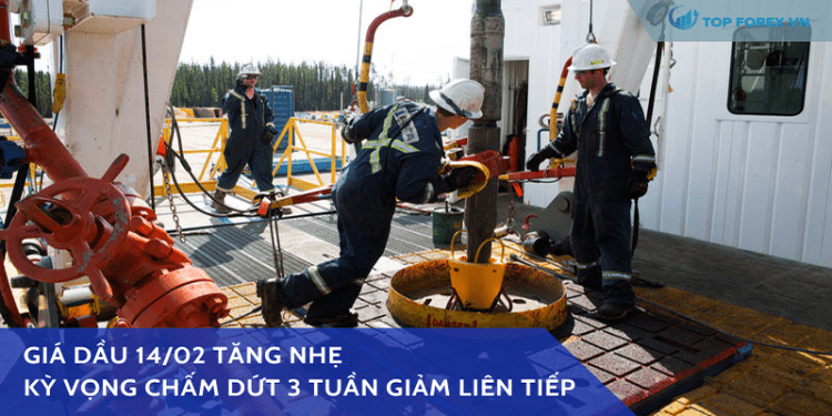 Giá dầu 14/02 tăng nhẹ, kỳ vọng chấm dứt 3 tuần giảm liên tiếp