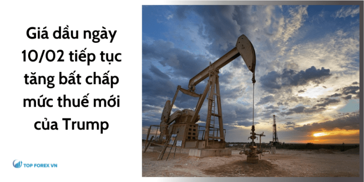 Giá dầu ngày 10/02 tiếp tục tăng bất chấp mức thuế mới của Trump