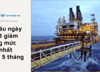 Giá dầu ngày 05/03 giảm xuống mức thấp nhất trong 5 tháng