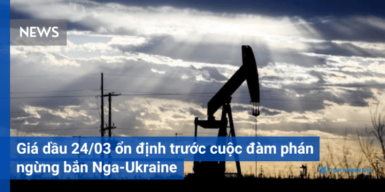 Giá dầu 24/03 ổn định trước cuộc đàm phán ngừng bắn Nga-Ukraine