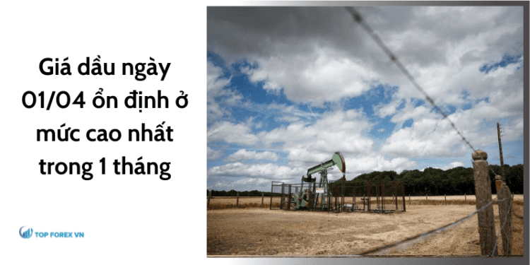 Giá dầu ngày 01/04 ổn định ở mức cao nhất trong 1 tháng