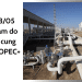 Giá dầu 23/05 tiếp tục giảm do lo ngại dư cung gia tăng từ OPEC+