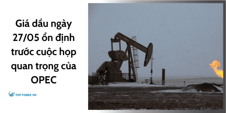 Giá dầu ngày 27/05 ổn định trước cuộc họp quan trọng của OPEC