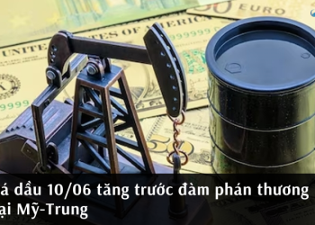 Giá dầu 10/06 tăng trước đàm phán thương mại Mỹ-Trung