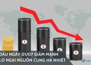 Giá dầu ngày 01/07 giảm mạnh khi lo ngại nguồn cung hạ nhiệt