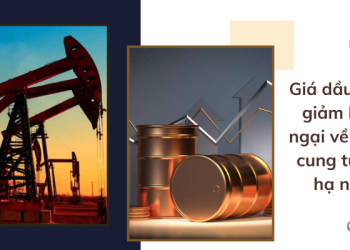 Giá dầu 18/08 giảm khi lo ngại về nguồn cung từ Nga hạ nhiệt