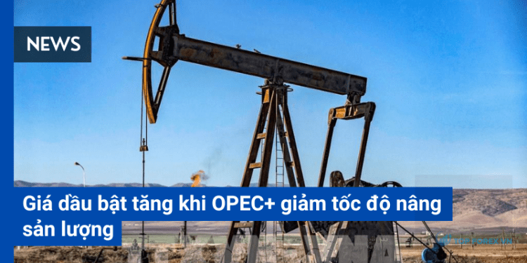 Giá dầu bật tăng khi OPEC+ giảm tốc độ nâng sản lượng từ tháng 10