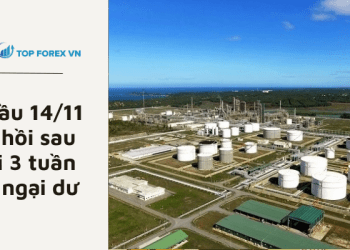 Giá dầu 14/11 phục hồi sau cú rơi 3 tuần do lo ngại dư cung