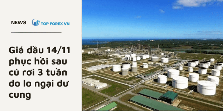 Giá dầu 14/11 phục hồi sau cú rơi 3 tuần do lo ngại dư cung