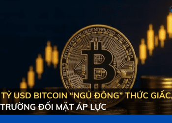 300 tỷ USD Bitcoin “ngủ đông” thức giấc, thị trường đối mặt áp lực lớn