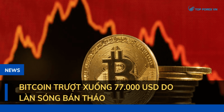 Bitcoin trượt xuống 77.000 USD do làn sóng bán tháo